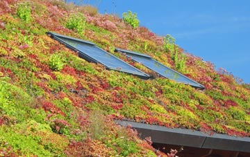 Chingford living roof systems